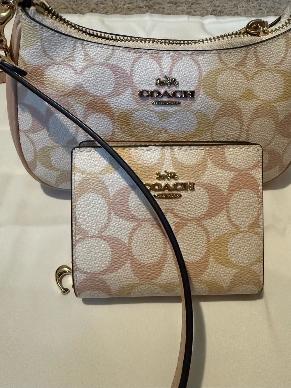Coach Teri Mini Signature Canvas Cross Body Bag with Matching Snap Wallet